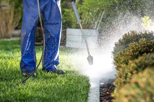 Curb Cleaning in Cedar Falls