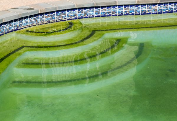Pool Deck Algae Removal in Cedar Falls