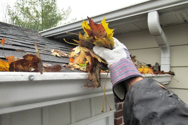 Eaves Cleaning in Cedar Falls
