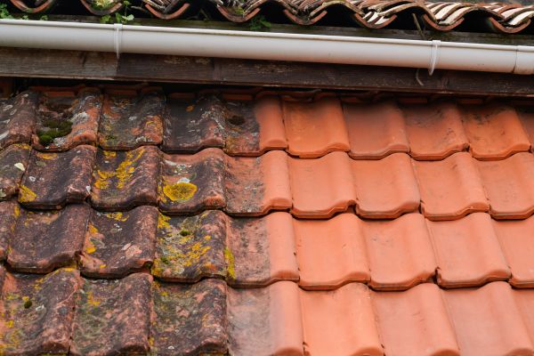 Industrial Roof Cleaning in Cedar Falls